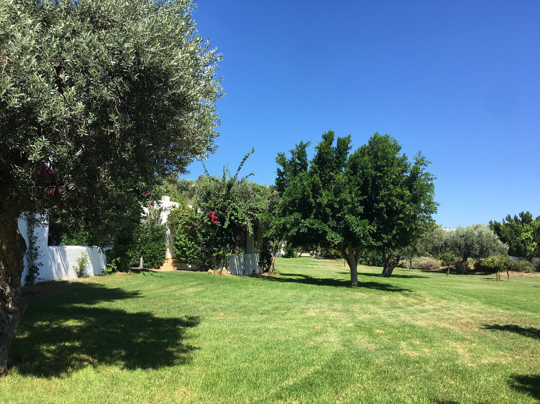 Hydra Beach Resort主图