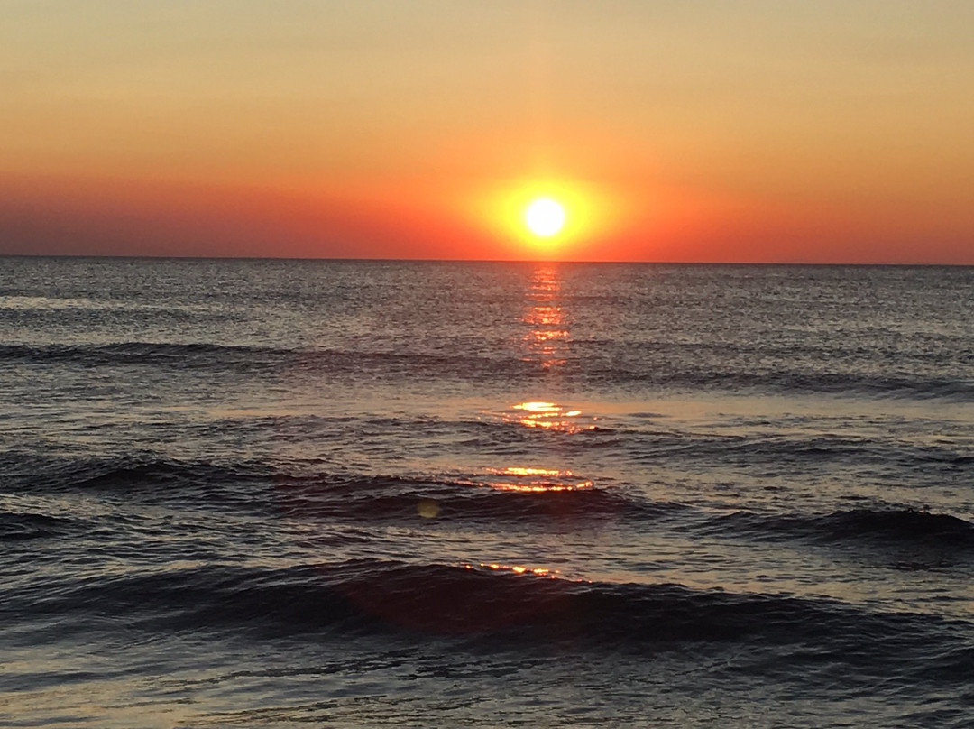 Zembretta Farm-Zembrettita主图