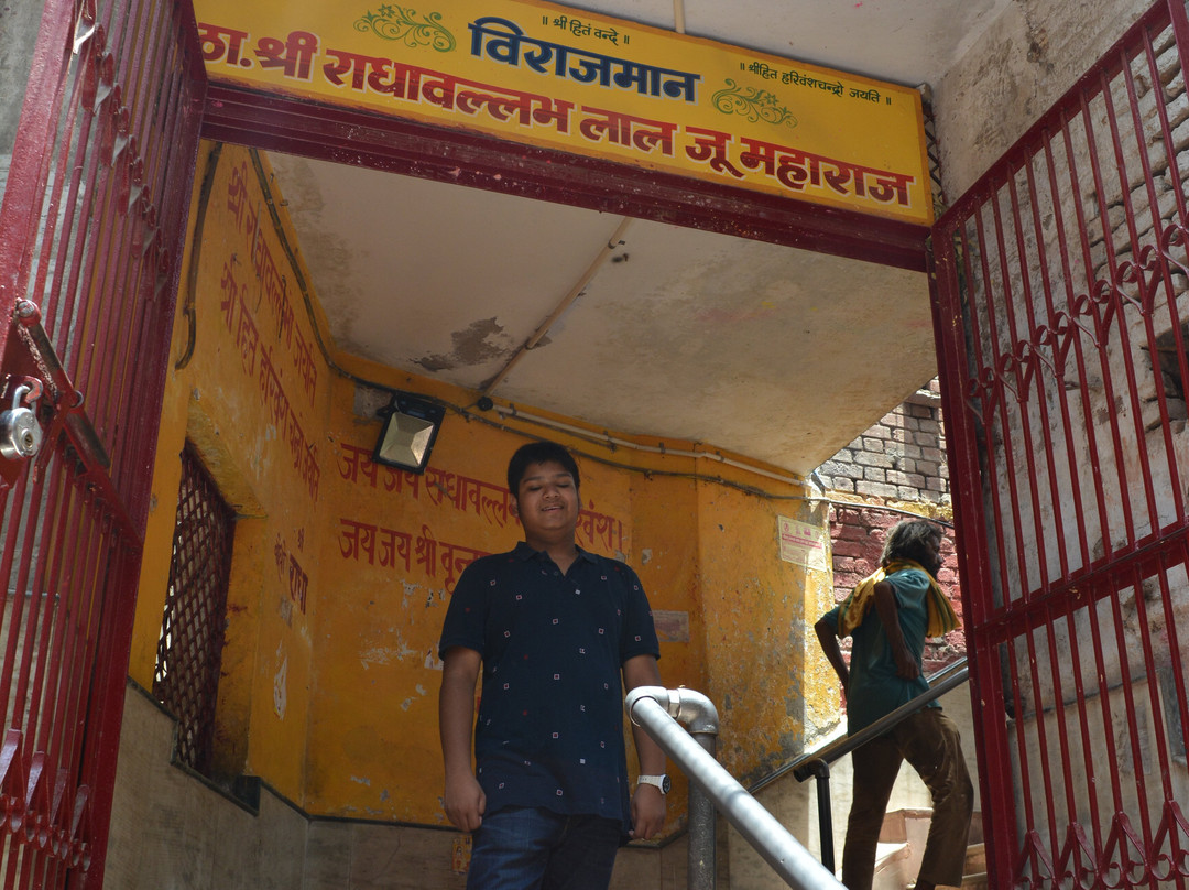 Sri Radhavallabh Vrindavan Temple景点图片