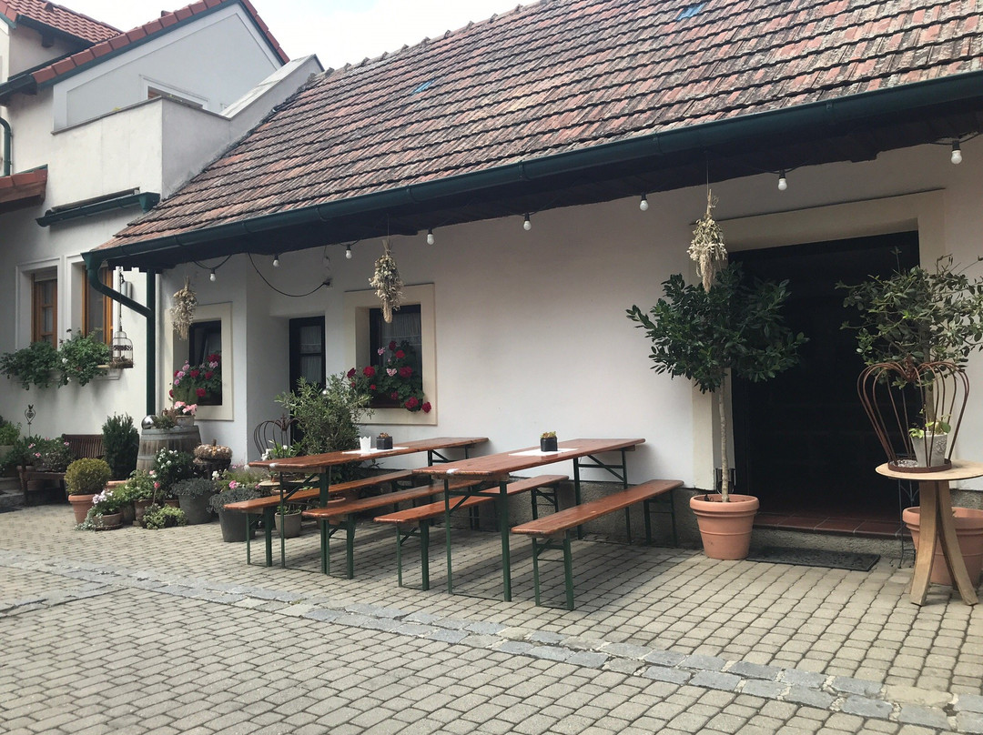 Weingut Edelmann-Goettlesbrunn必去景点