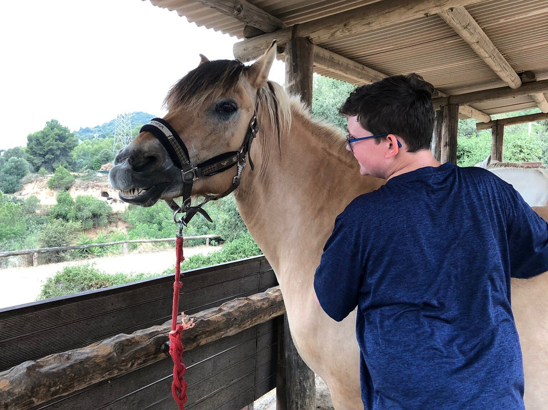 Barcelona Horse Tours景点图片