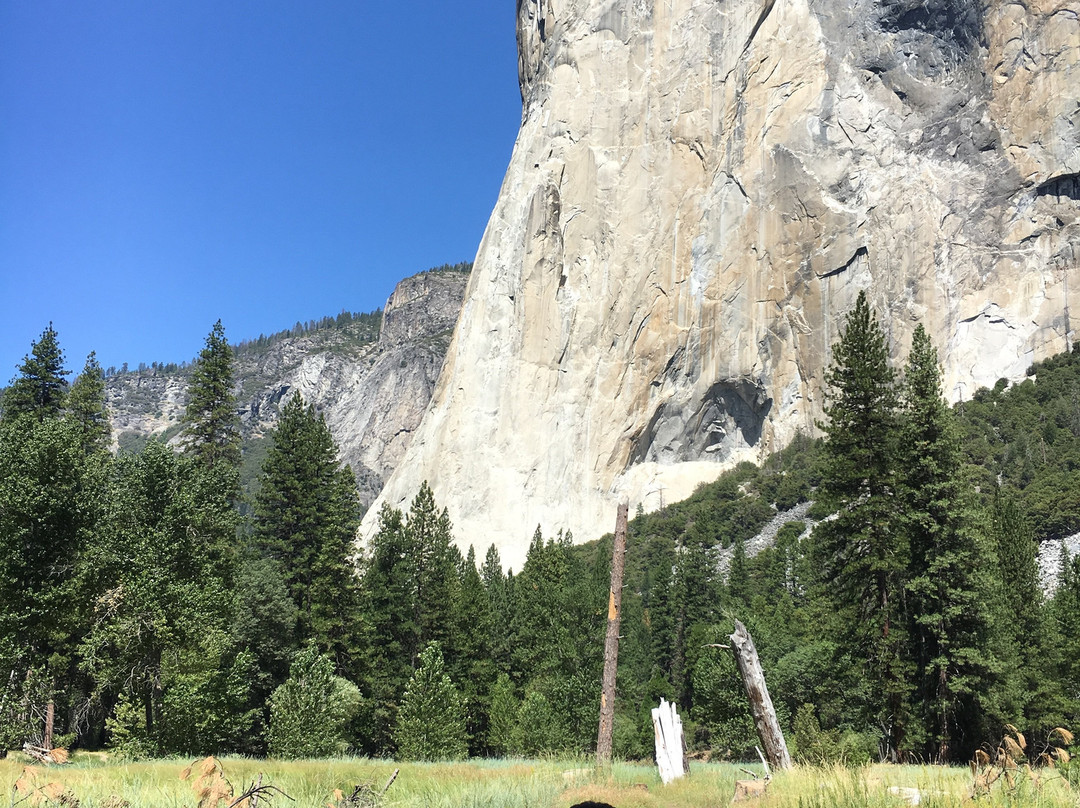 Yosemite Valley Loop Trail景点图片