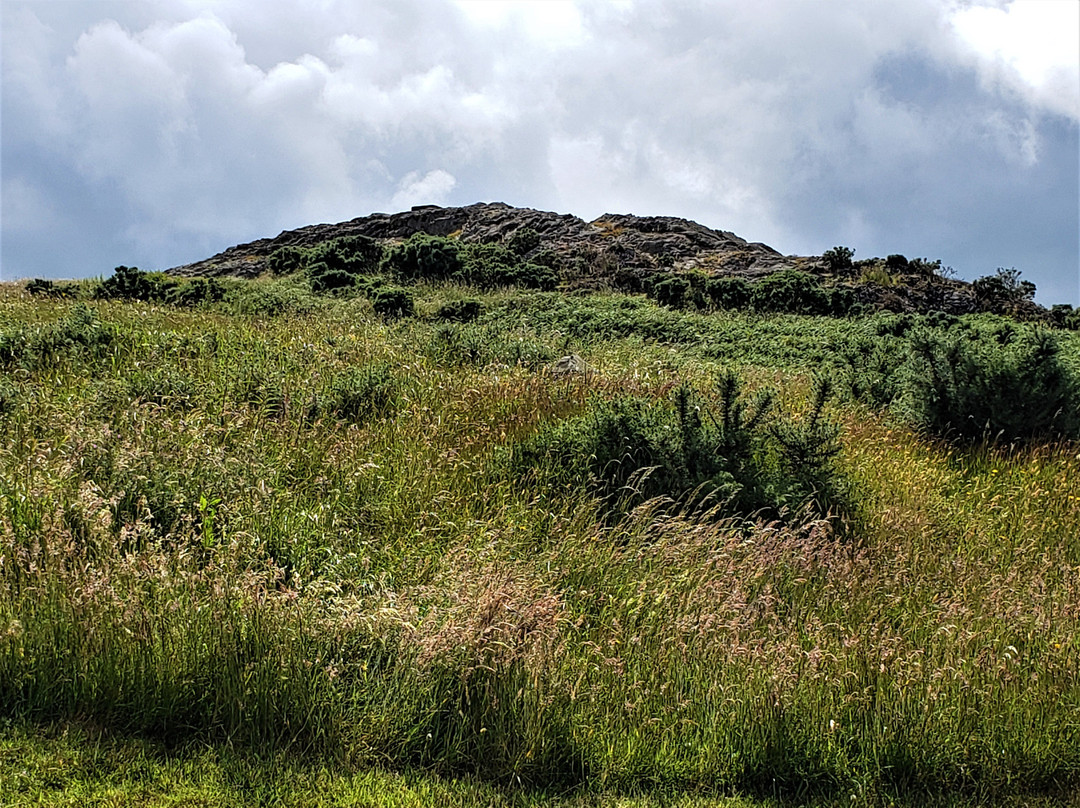 Vinegar Hill-Enniscorthy必去景点