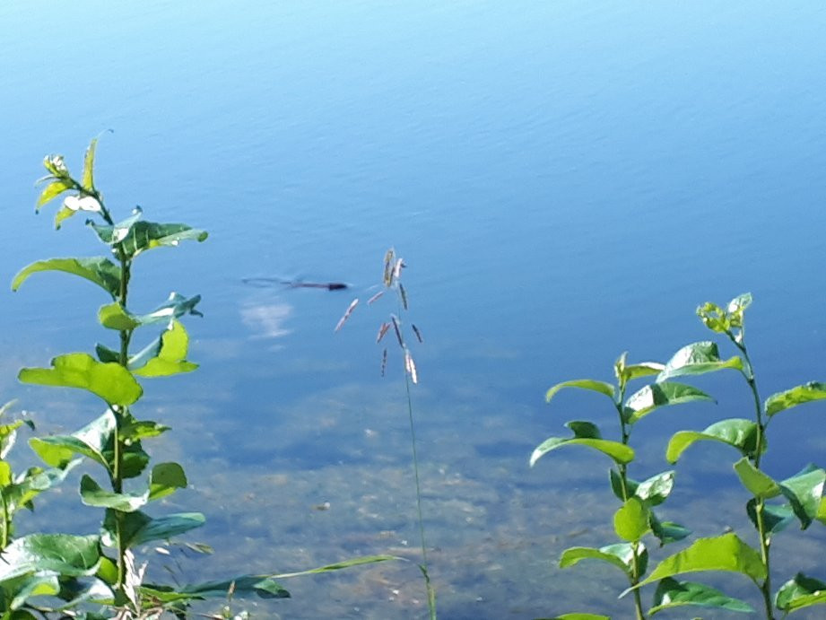 Vermilion Provincial Park-Vermilion必去景点