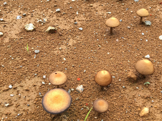 Hiroseya Ryokan主图