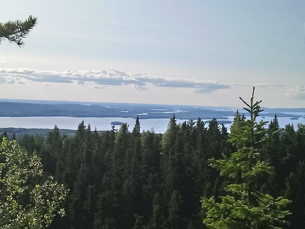 Räsävaara Observation tower-Koli National Park必去景点