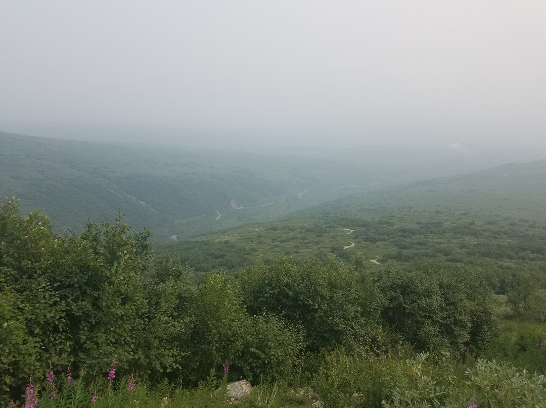 Savage Alpine Trail-德纳利国家公园和自然保护区必去景点