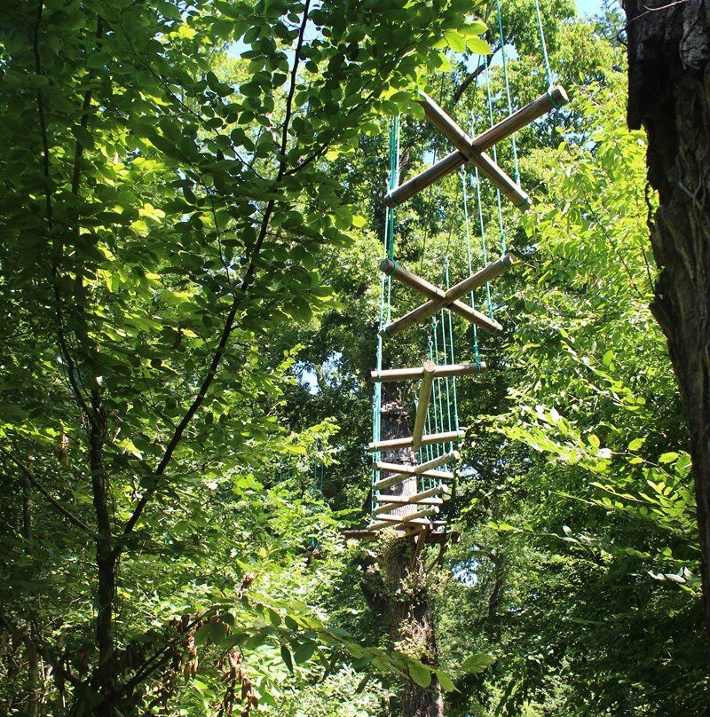 Parcours Acrobatique en Hauteur Loisirs et Aventures-Talence必去景点