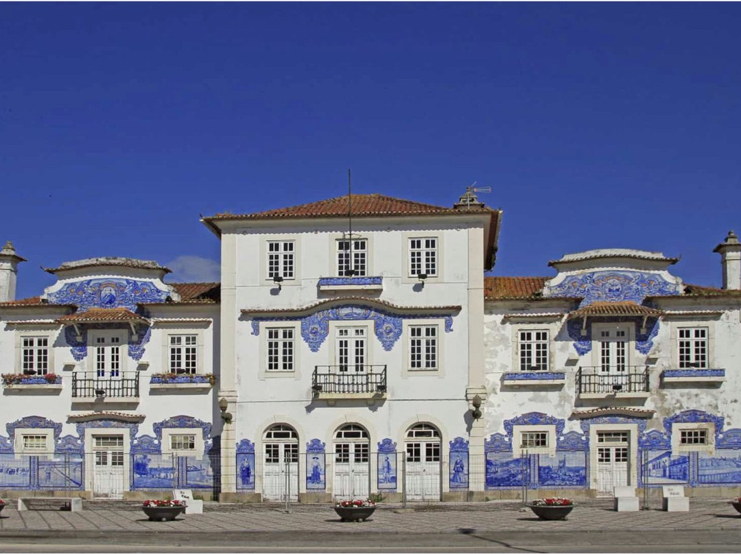 Pateando Aveiro-阿威罗必去景点