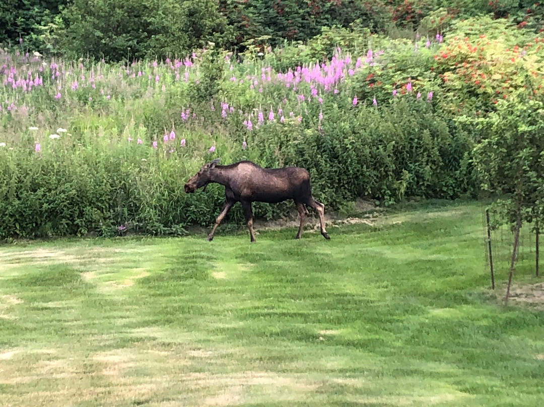 Crane's Rest B&B主图