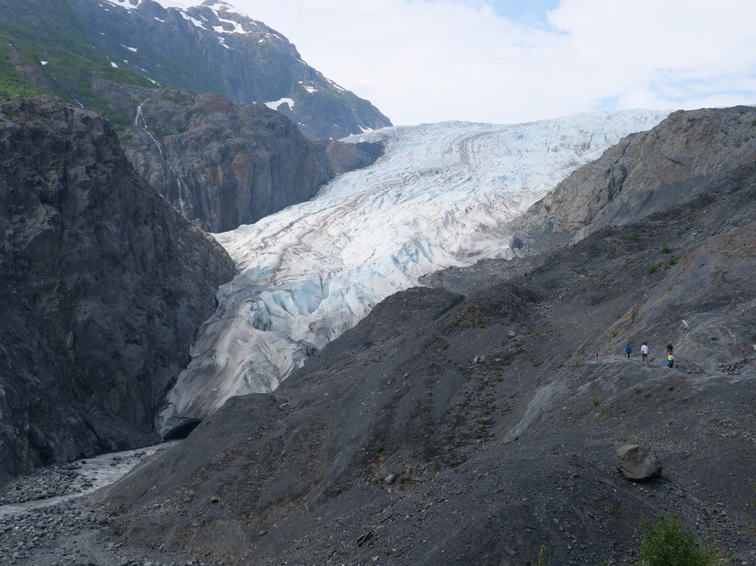 Exit Glacier Guides - Day Tours景点图片