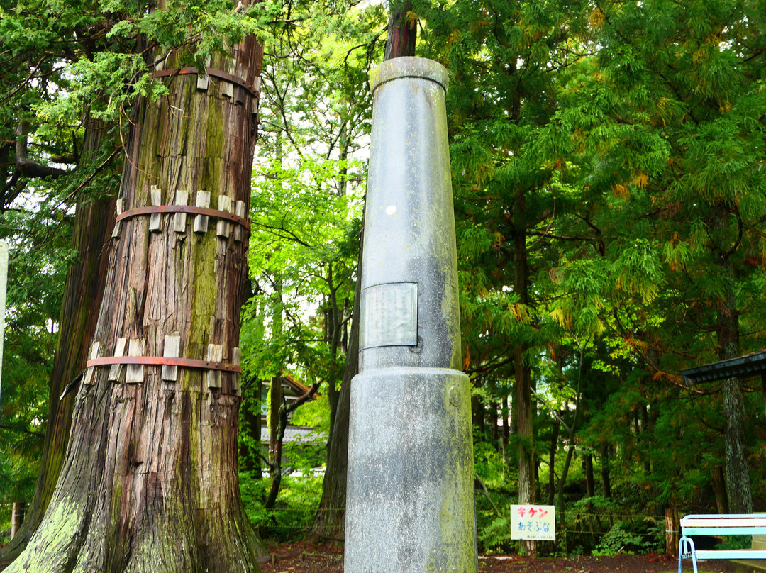 Yahiko Shrine景点图片