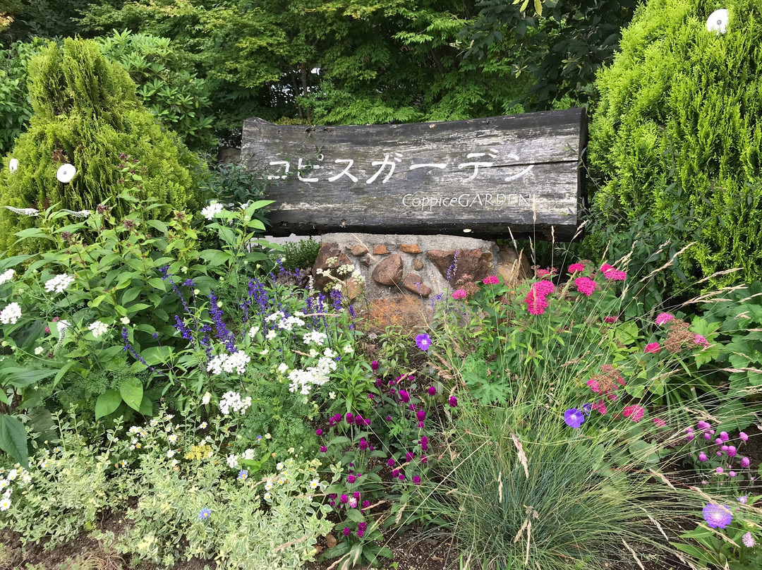 Coppice Garden-那须町必去景点