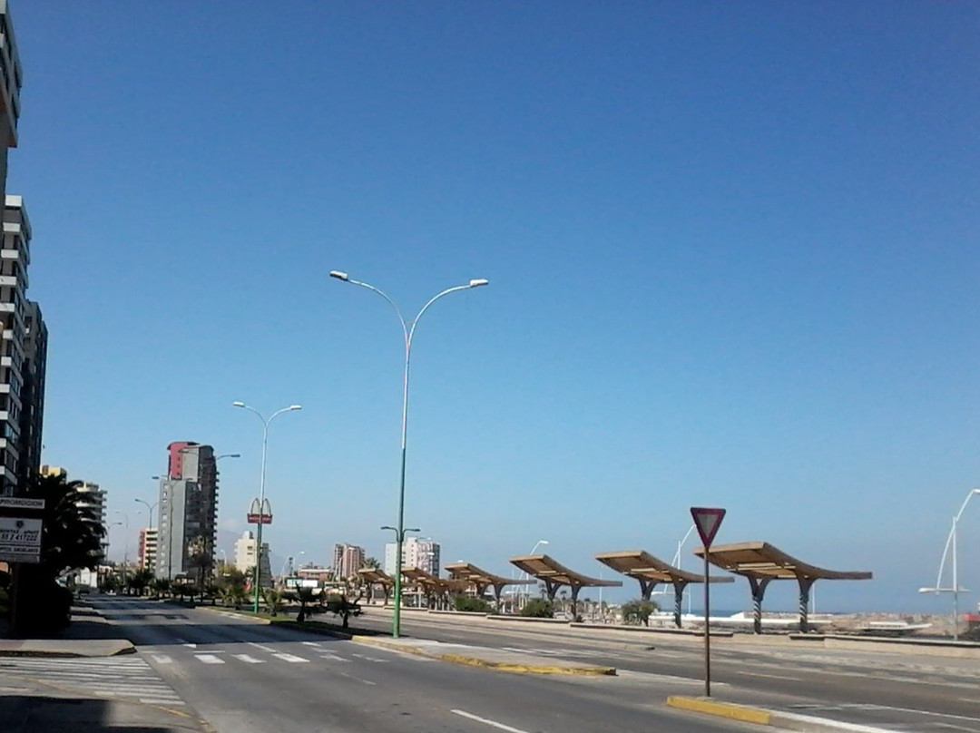 Paseo del Mar Antofagasta景点图片