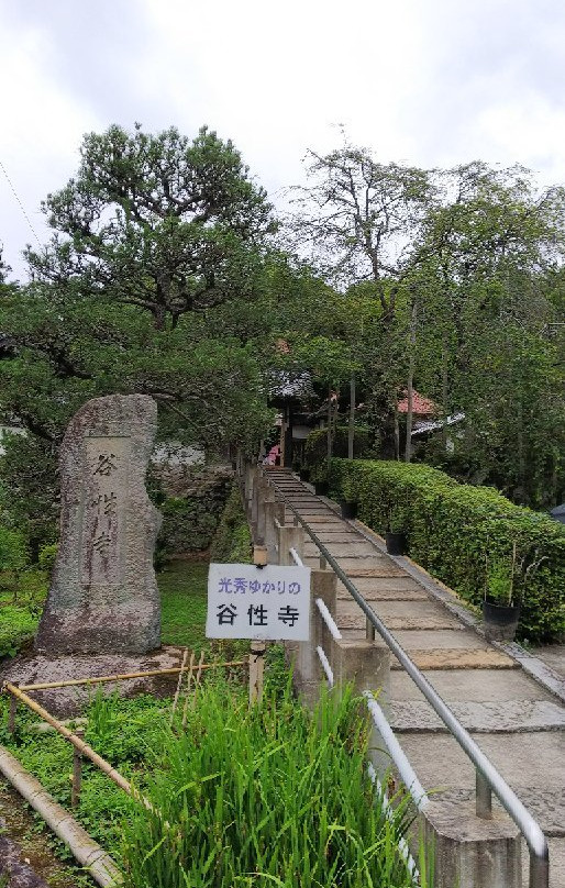 Kokushoji Temple景点图片