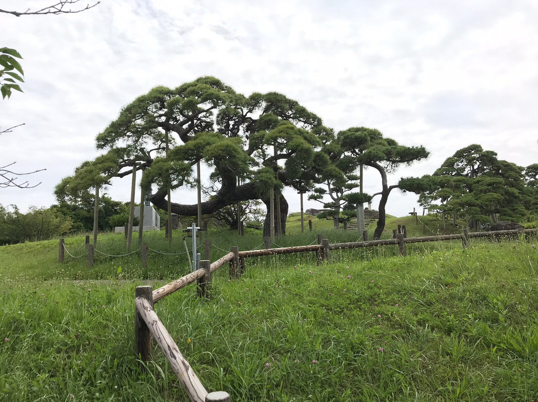 Minato Park