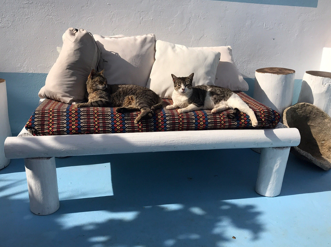 Monte do Sapeiro主图