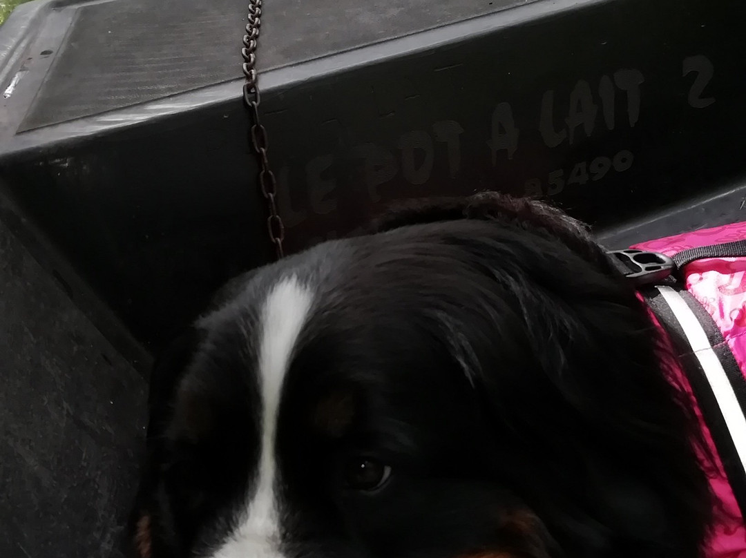 Le Pot à Lait主图