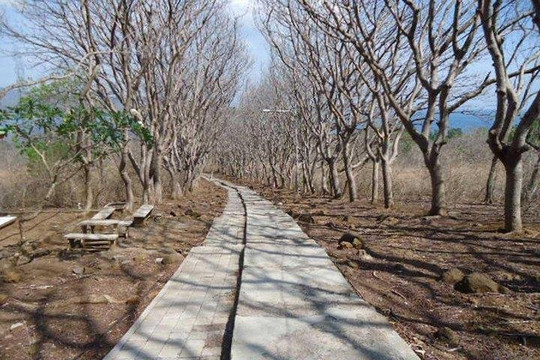 IAsia Indonesia-登巴萨必去景点