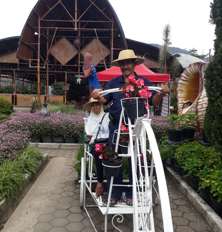 Begonia Garden-连旺必去景点