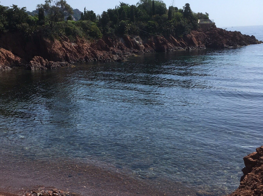 Cap Estérel Bike景点图片