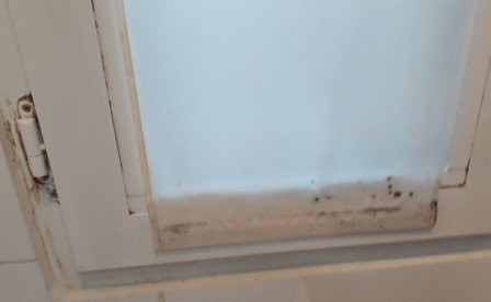 加布里尔酒店主图