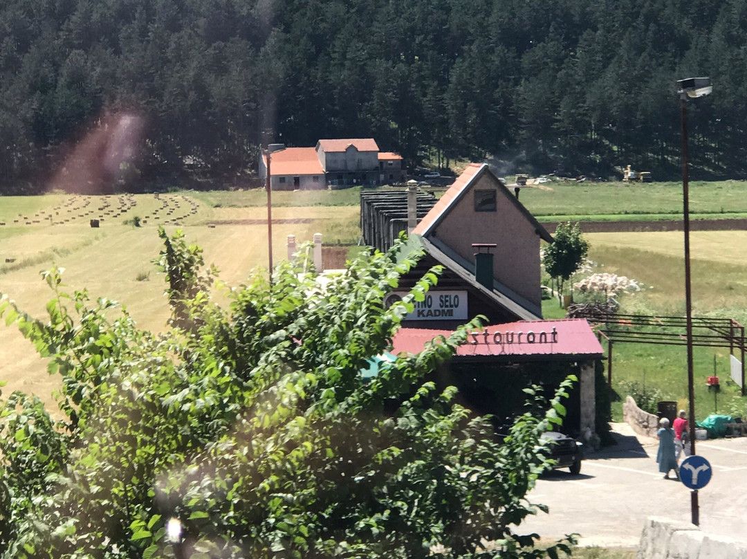 Erakovici旅游攻略图片