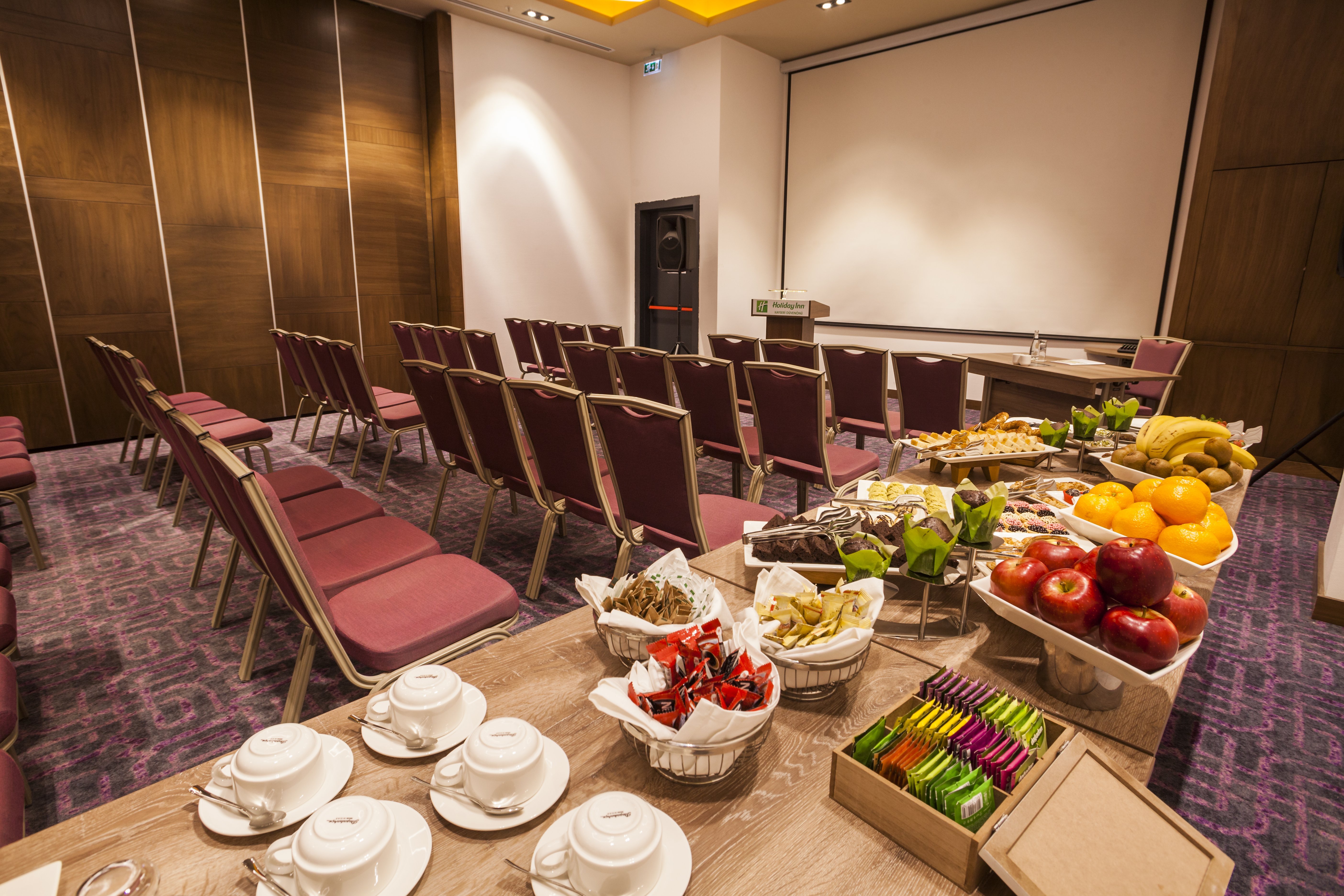 Holiday Inn Kayseri - Duvenonu By IHG-官方