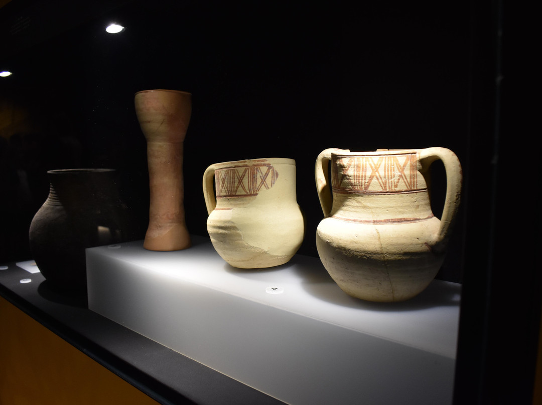 Museum Damaso Navarro of Archeology and Ethnology景点图片
