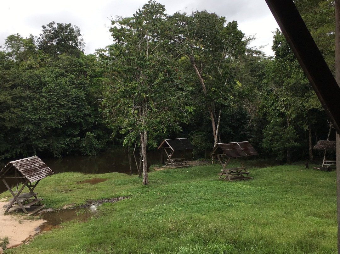 Crique Toussaint-Sinnamary必去景点