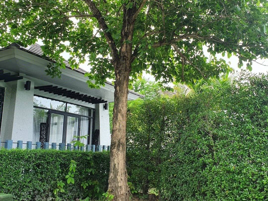 Ashcarya Boutique Resort主图