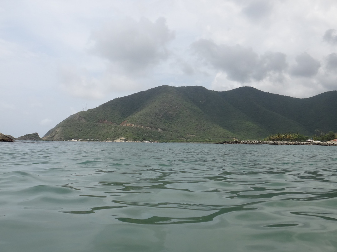 Llanos Region旅游攻略图片