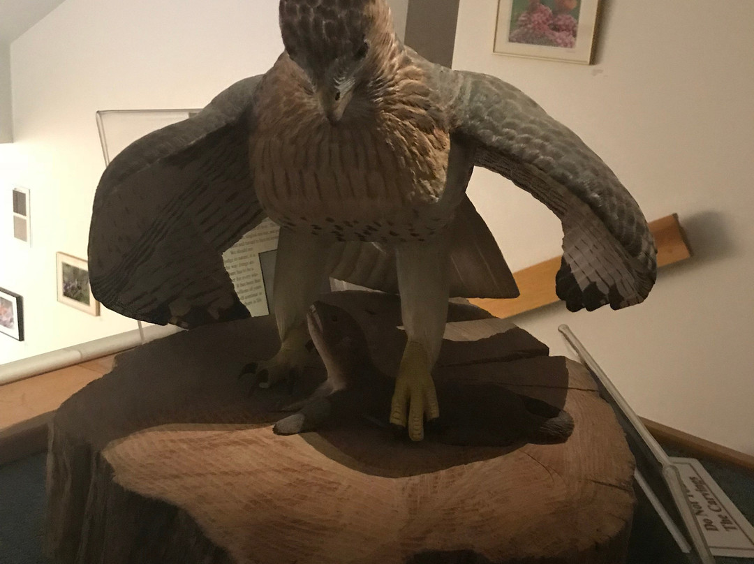 Birds of Vermont Museum-Huntington必去景点