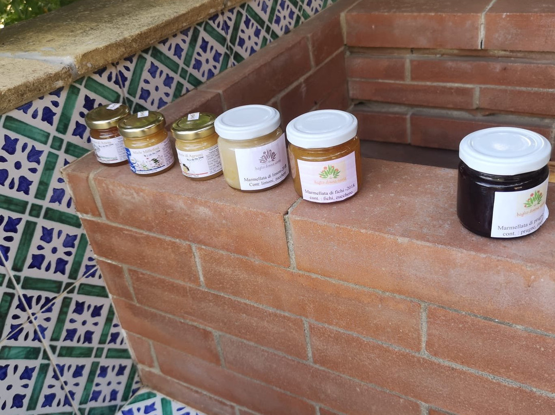 Agriturismo Baglio Donna Santa主图