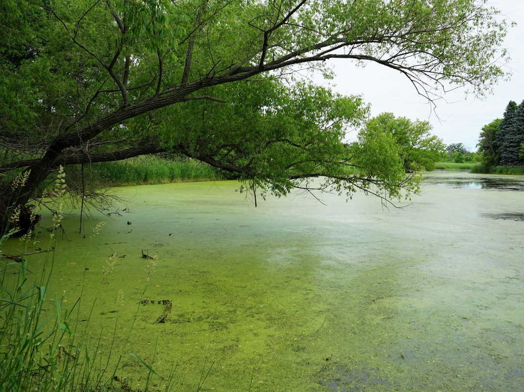 Cleary Lake Regional Park-Prior Lake必去景点