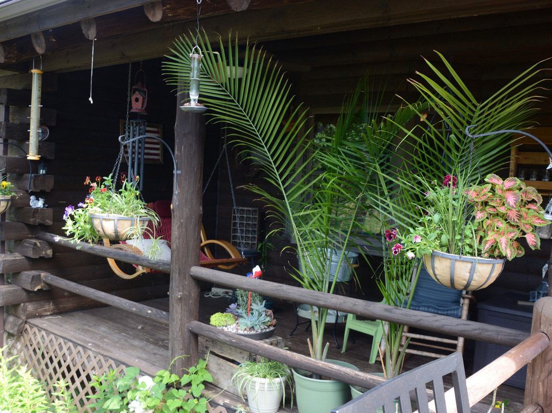 Harmony Hill Bed and Breakfast主图