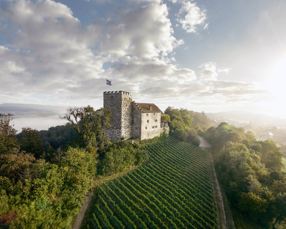 Schloss Habsburg景点图片