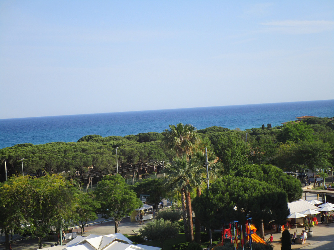 Aqua Hotel Aquamarina & Spa主图