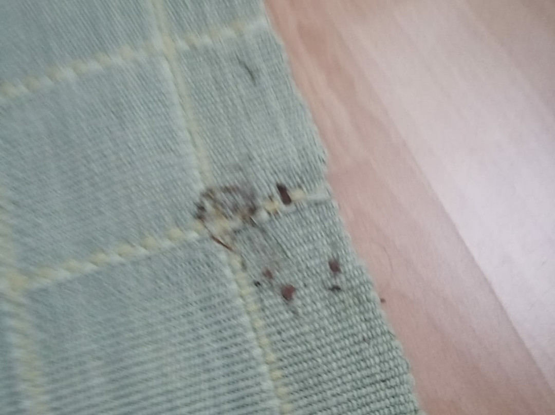 Gasthof Steinbraeu主图