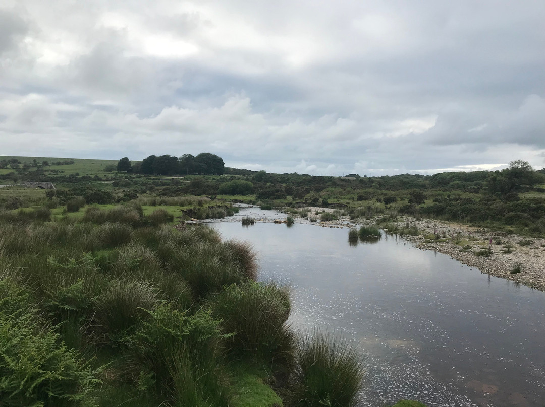 River Plym景点图片