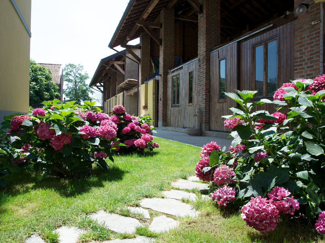 Bed and Breakfast Cascina delle Mele主图