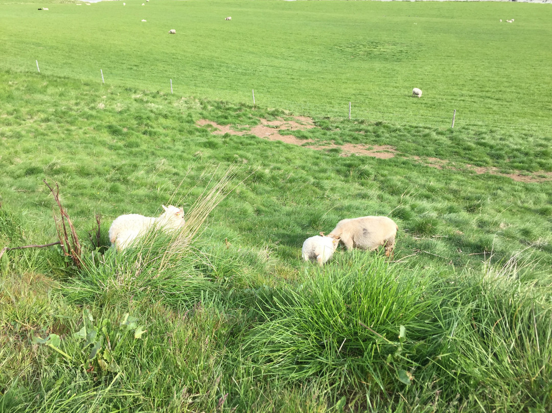 荒野中心/奥布乐思特群岛度假酒店主图