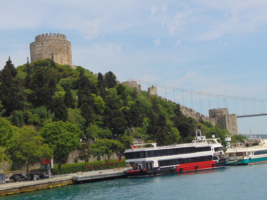 Bosphorus Cruise景点图片