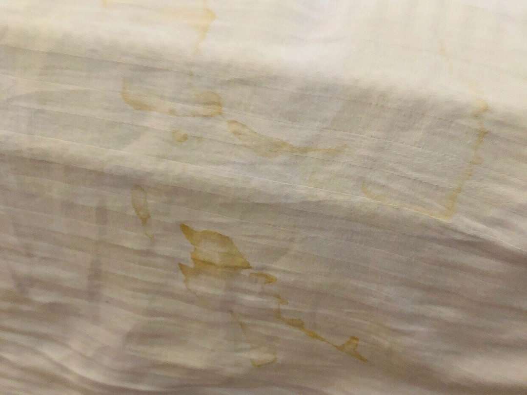 Xomotel Ranikhet Heights主图