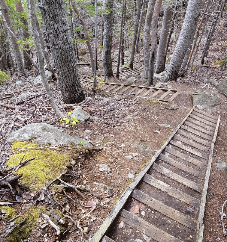 Freshwater Lake Lookoff-Cape North必去景点