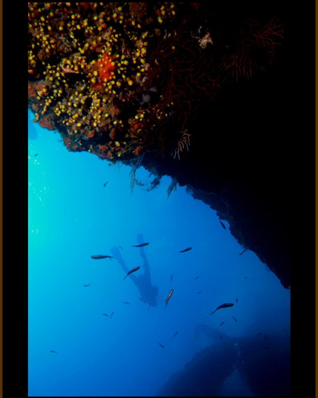 Diving Center Pongo-普莫斯特必去景点