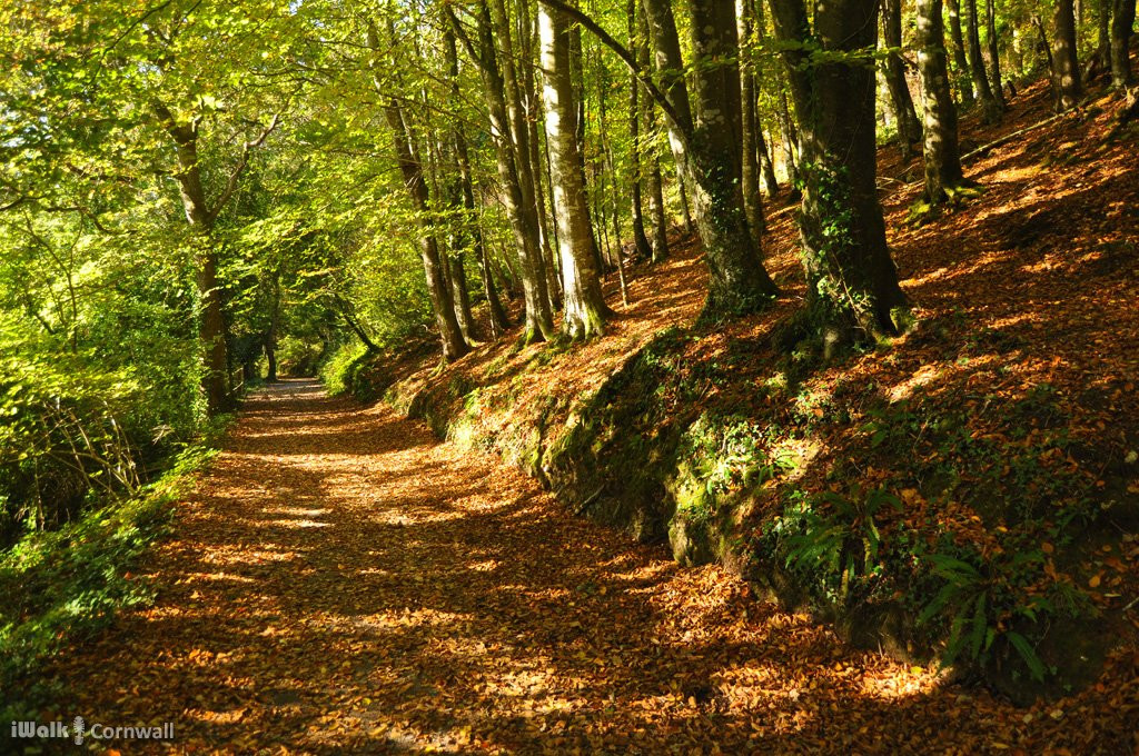 Tehidy to Deadman's Cove Circular Walk-Portreath必去景点