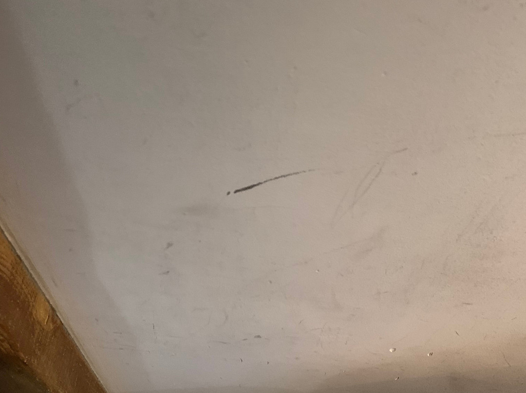 多拉雷亚酒店主图