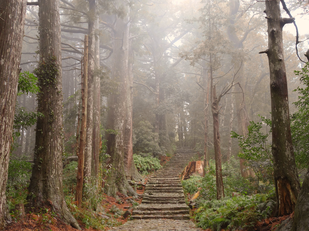 Kumano Kodo景点图片