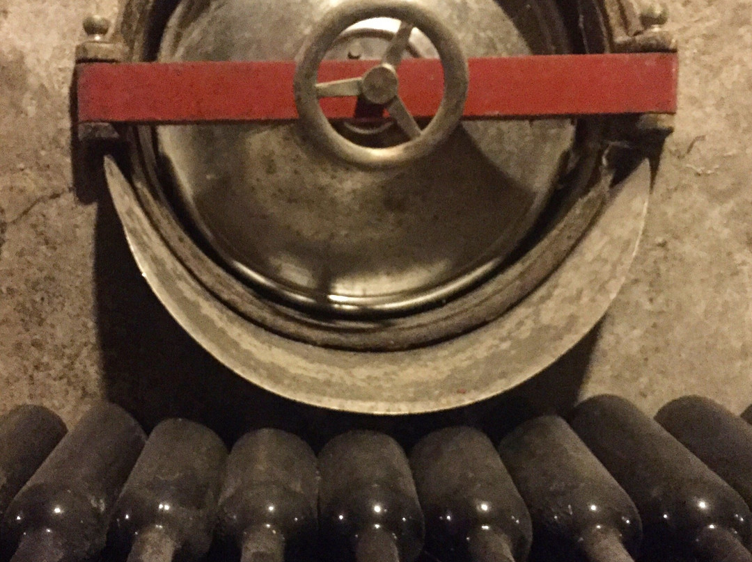 Apollonio Wine Company景点图片